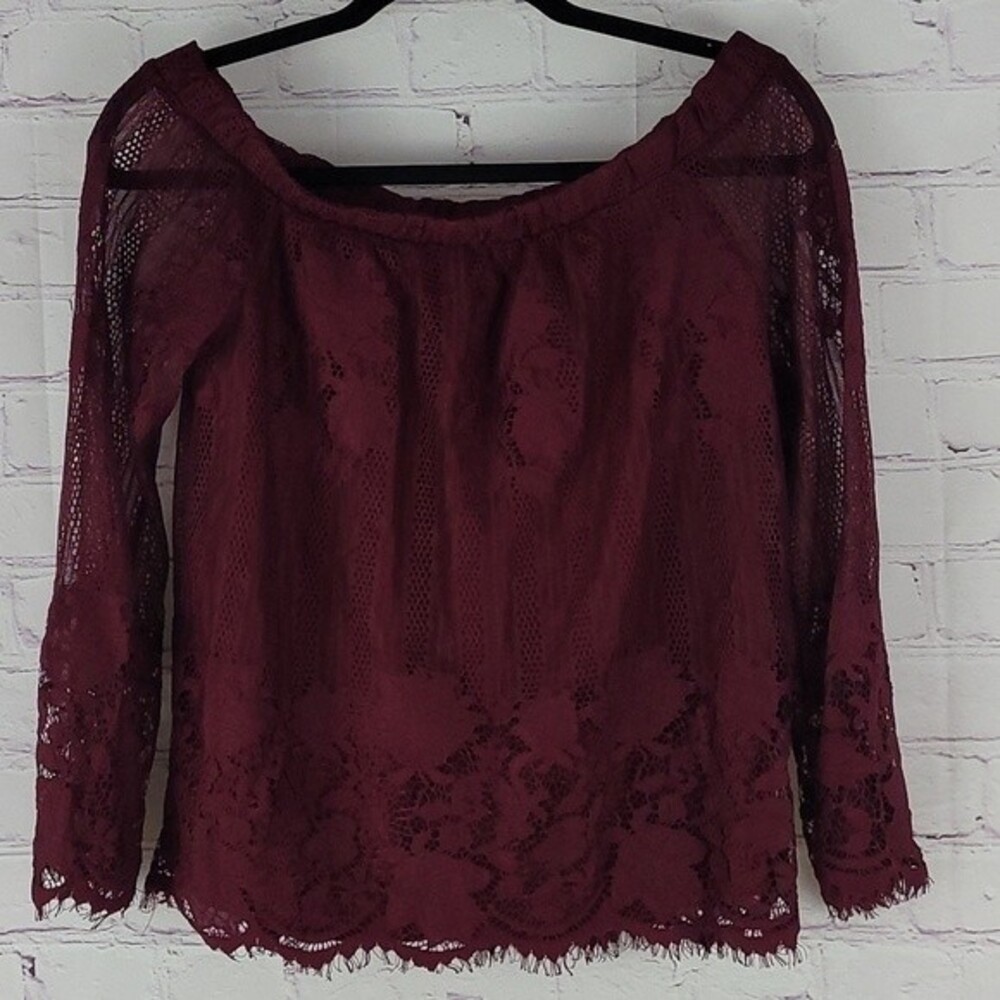 Burgundy Whimsigoth Dark Romantic Long Sleeve Lace  Top. Size Small. NWT